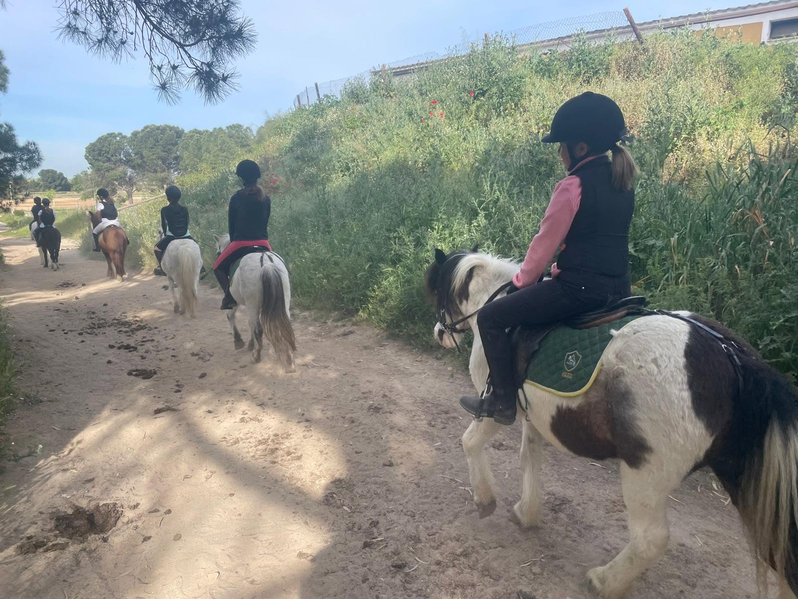 Ruta a caballo con ponis
